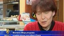 Пражские собаки получают особые угощения к праздникам