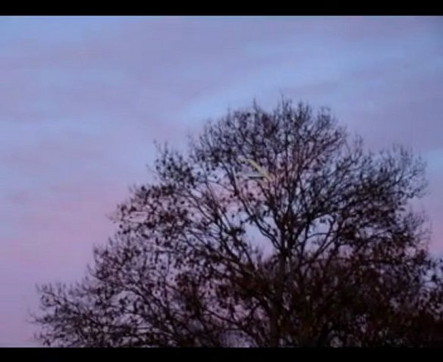 Pitts pas beau mais vol bien /Pitts ugly but good flight.