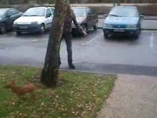 En galere avec le chien xP