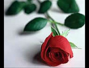 BAHAR - Tutkun Olurum Yar