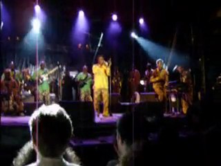 seun kuti à lyon