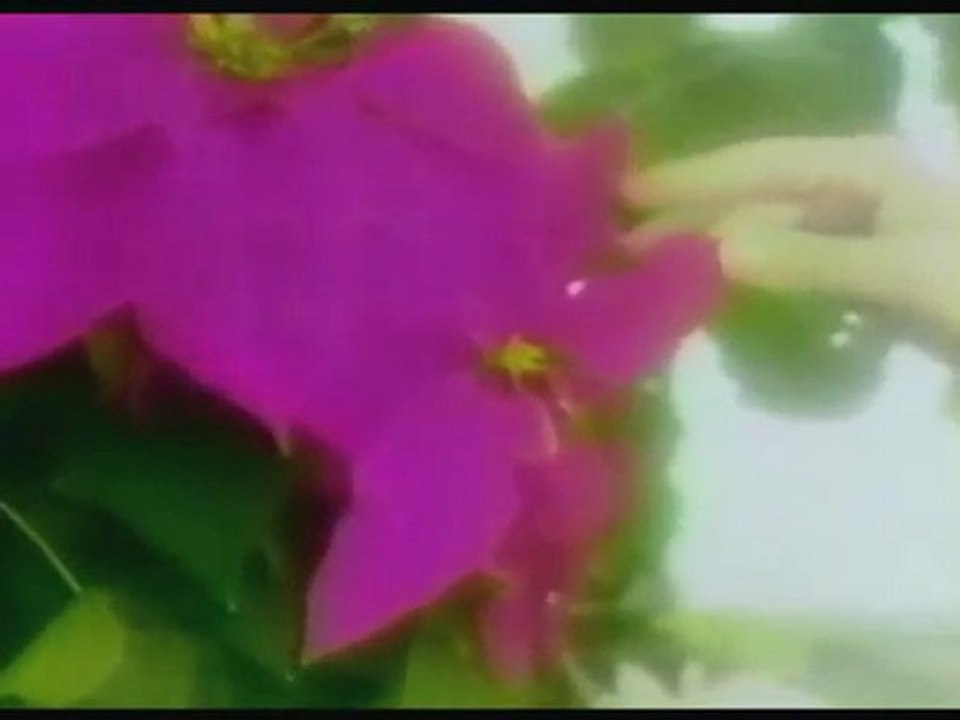 Témoignage de Nicole Dron et Yolande Eck