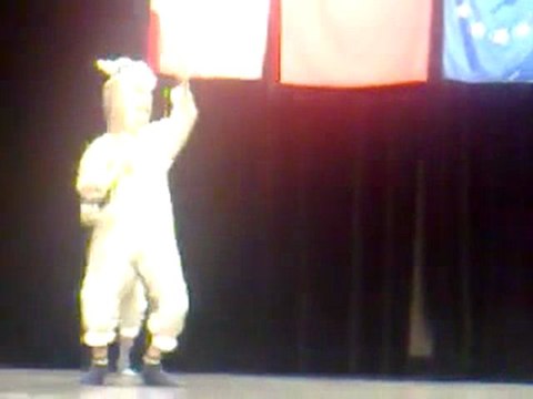 23nisan fransiz turk kultur dernegi sarreguemines 5