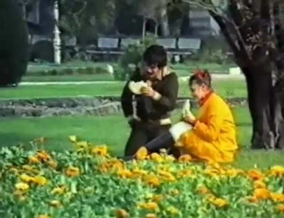 Ferdi Tayfur - Bitmeyen O Uzun Geceler