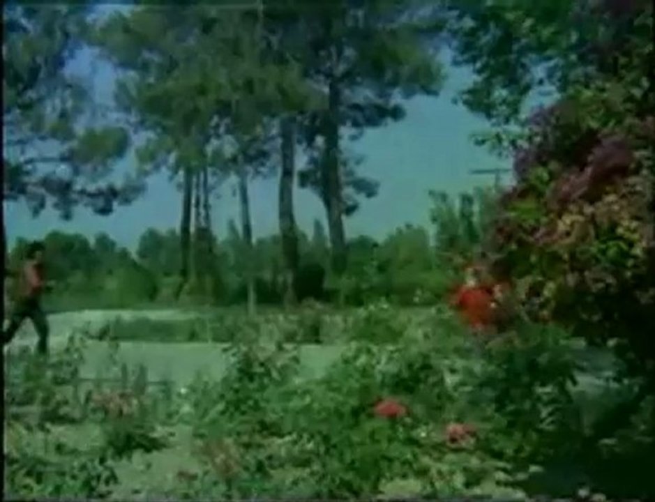 Ferdi Tayfur - Sevda Yelleri (2)