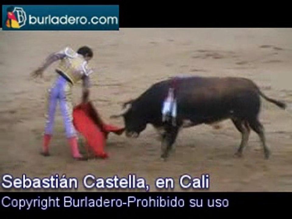 Cali, 29 de diciembre