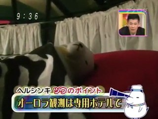 にしいろしーん　フィンランド　ヘルシンキ編　Part2