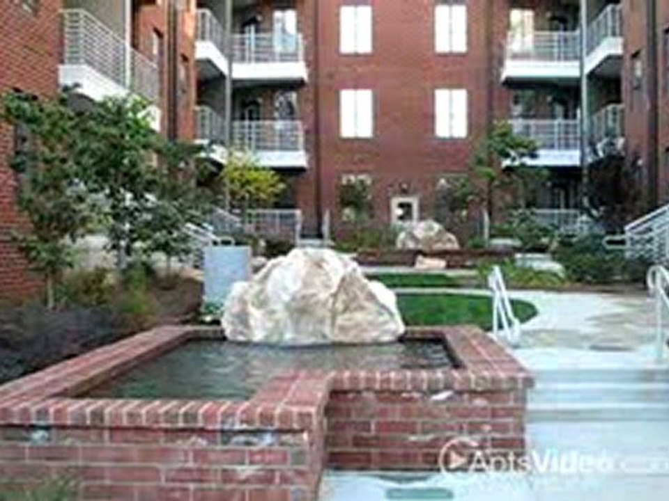 Circle at South End Apartments in Charlotte, NC-ForRent.com