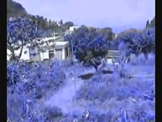 Swiss Watches Zurich