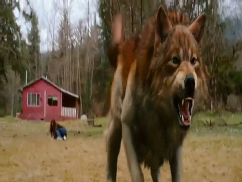 Twilight Saga: New Moon (2009) full
