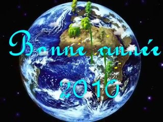 bonne année 2010-2011-...