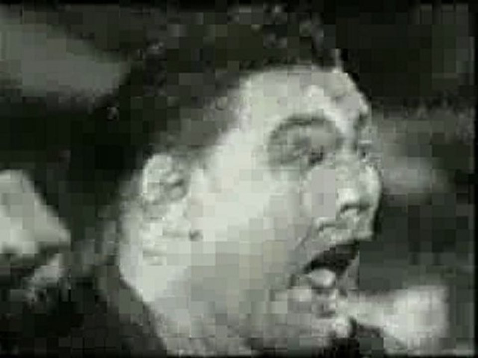 Adidas All Blacks Haka