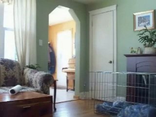 Paranormal Phenomenon