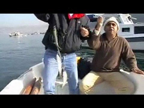 BALIK AV ViDEOLARI - Yemli Çinekop Avı