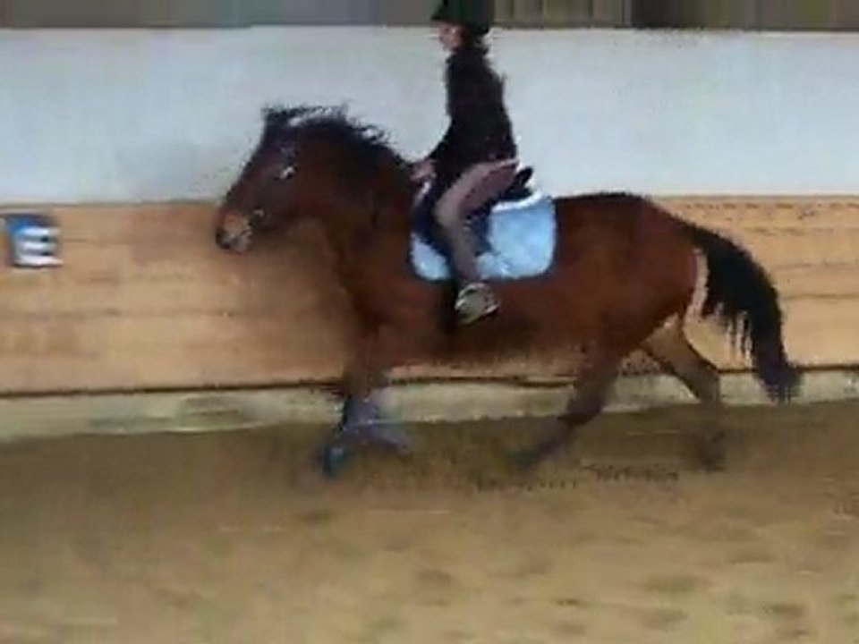 cheval au galop