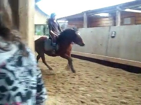 cheval au galop