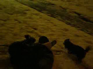 dec 2009 jeu de luge