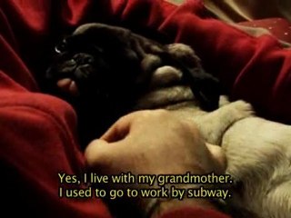 Amor al can, de Sergio Romero Castaño