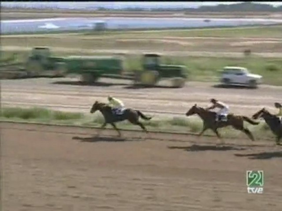 2007.02.28, nº 51 MJ ( VII Mijas Cup, A) Papillon Rose