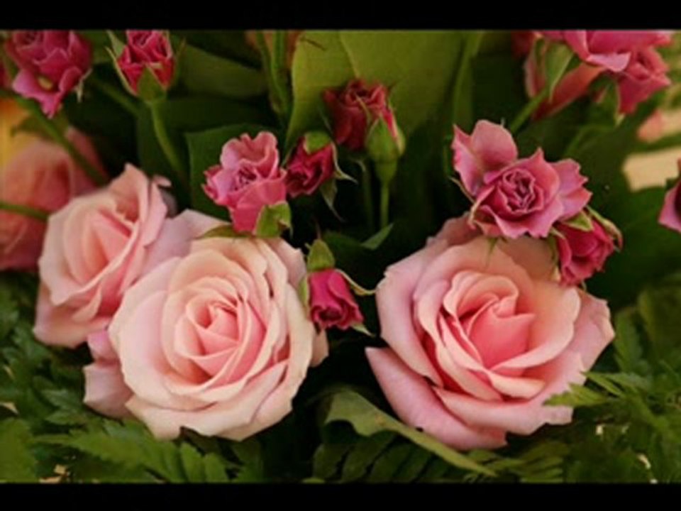 La vie en Rose Edith Piaf - RINO VALENTINO