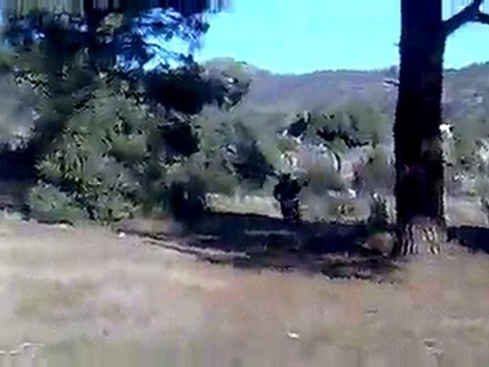 pit bike