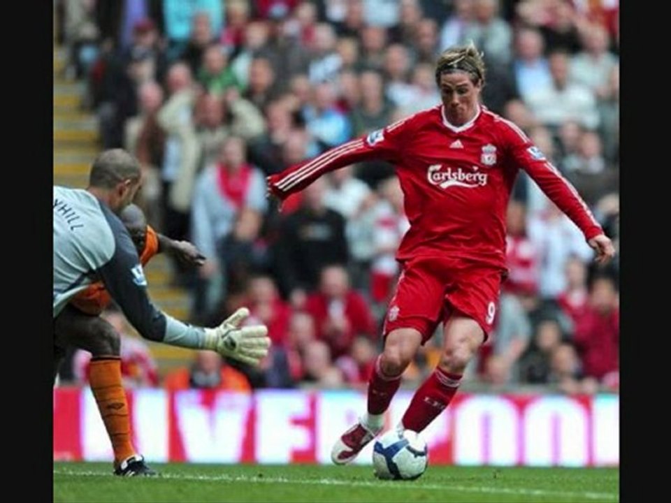 fernando torres pictures