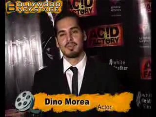 Hot Dia Mirza sizzles at ACID FACTORY