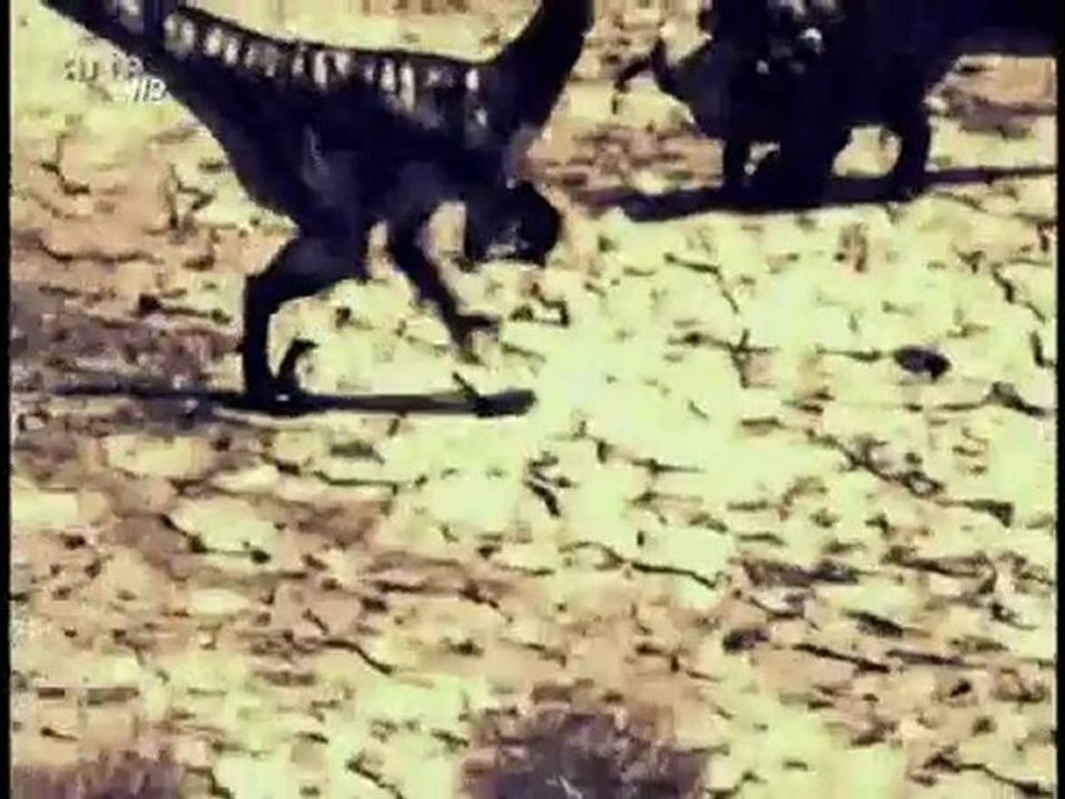 jurassic fight club le naufrage des carnassiers 3 de 3