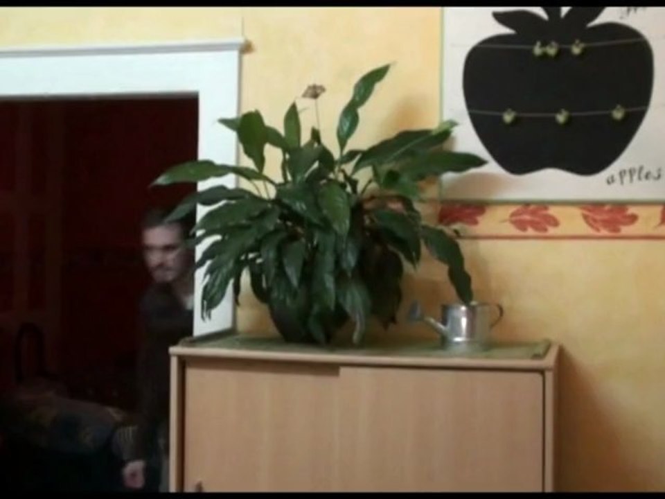 horrorfield saison 2 épisode 2 "La voisine"