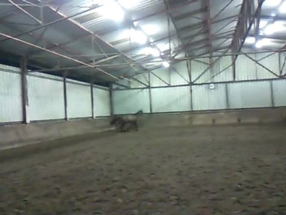 Einstein Z - Liberté - 30 Decembre 2009