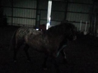 Sucette fais le pas espagnol (1)