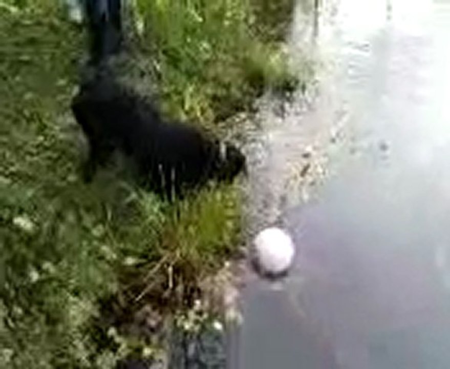 MOV00099