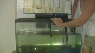 Aquarium tanks Visiting The Aquarium During Rhodes Holidays