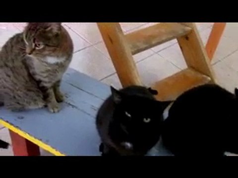 Refuge de Beauregard 30décembre2009