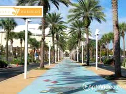 Lindru Gardens Apartments in Clearwater, FL-ForRent.com