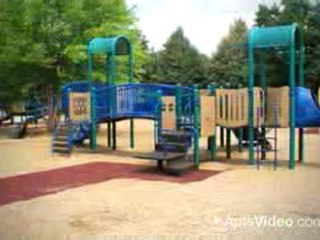 Beech Pointe Apartments in Schaumburg, IL-ForRent.com