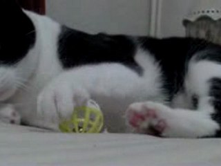 Ma Patatine, elle est trop belle !