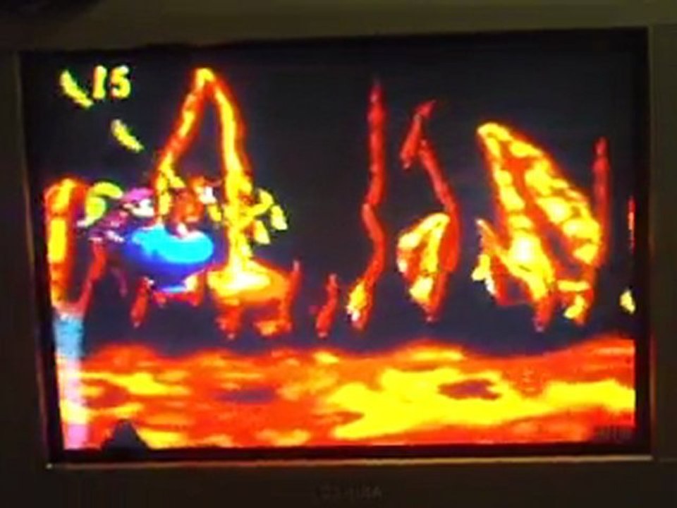 DKC2 second world goal