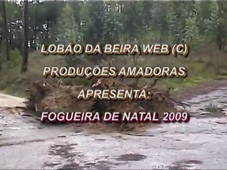 FOGUEIRA DE NATAL