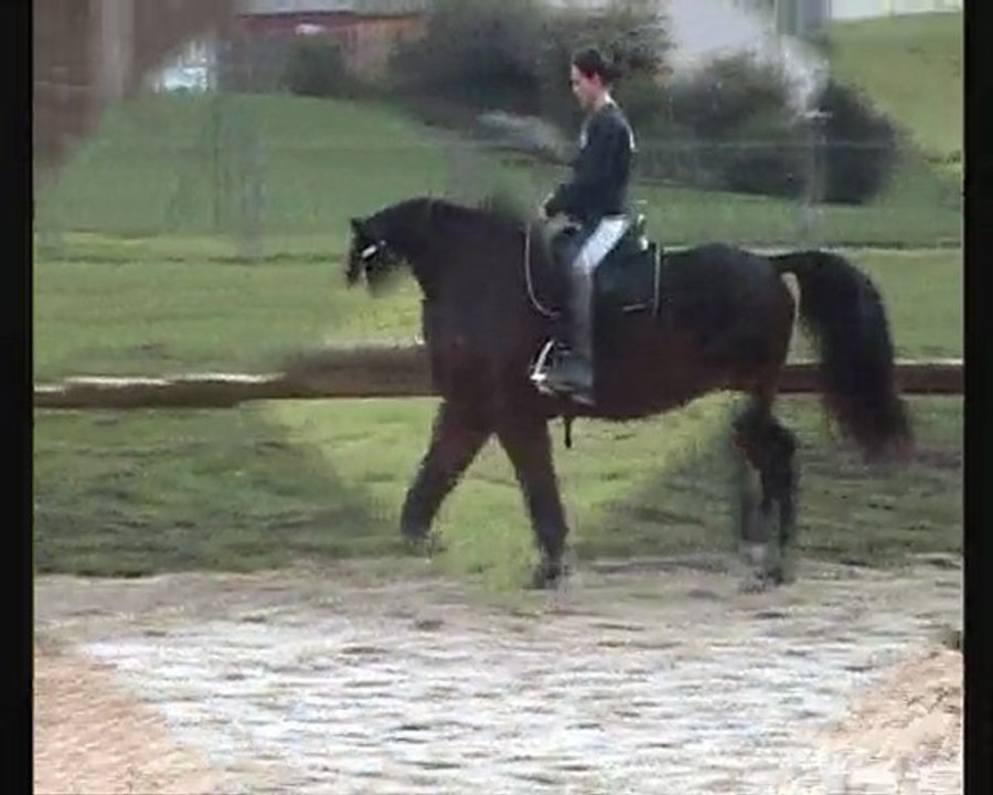 Philou le 30.12.2009