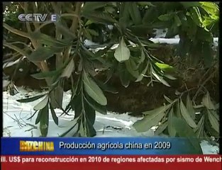 Producción Agrícola China en 2009