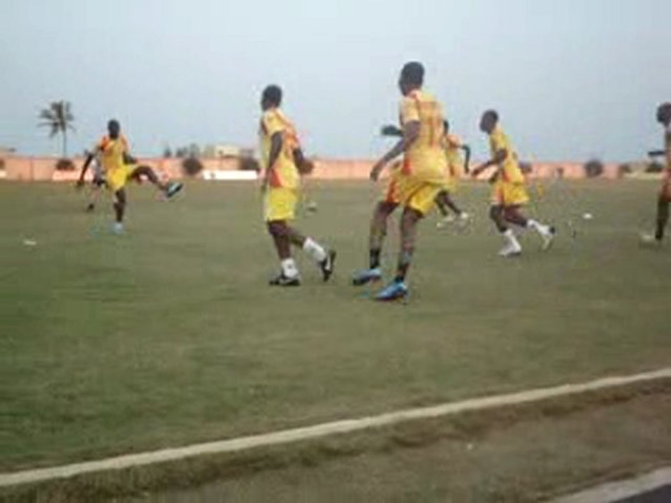 Ecureuils à l'entraînement