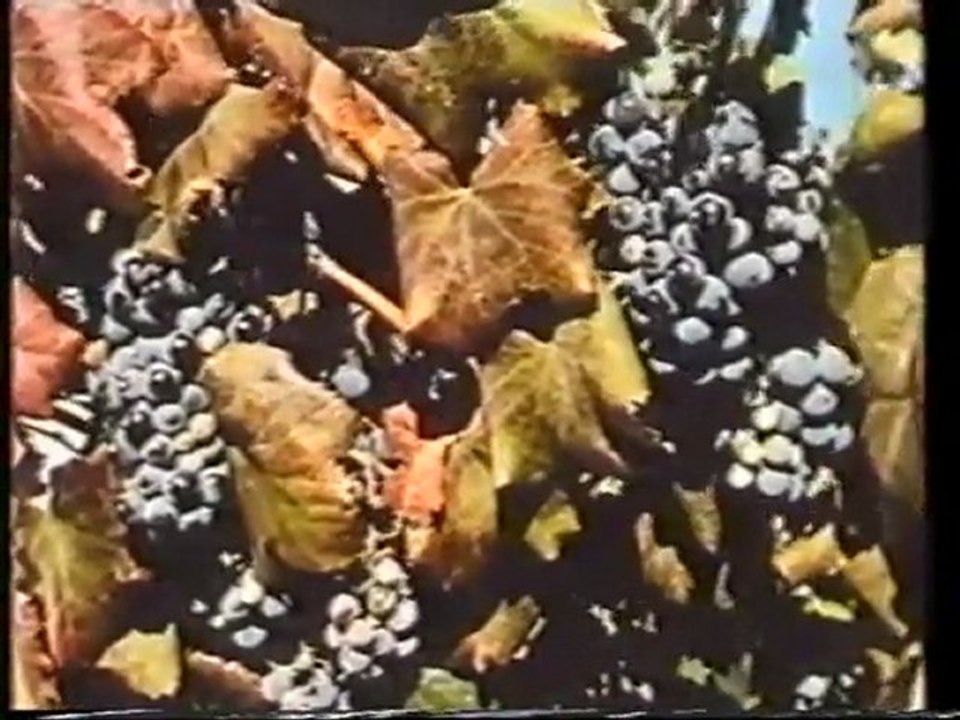 les trésors cachés 1