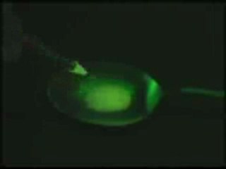 No compartas tus Herramientas de Inyección