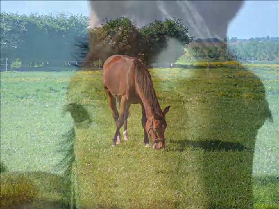 Mon année 2009 en image