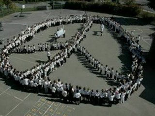 Excellente Annee 2010 !!!