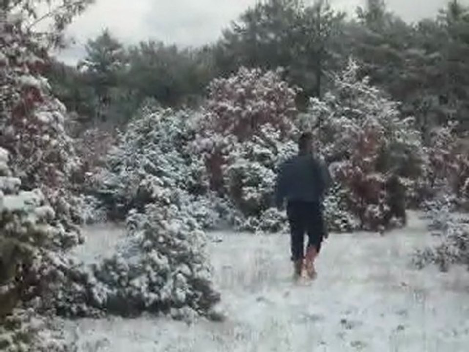 hamidiyekızılcaören av