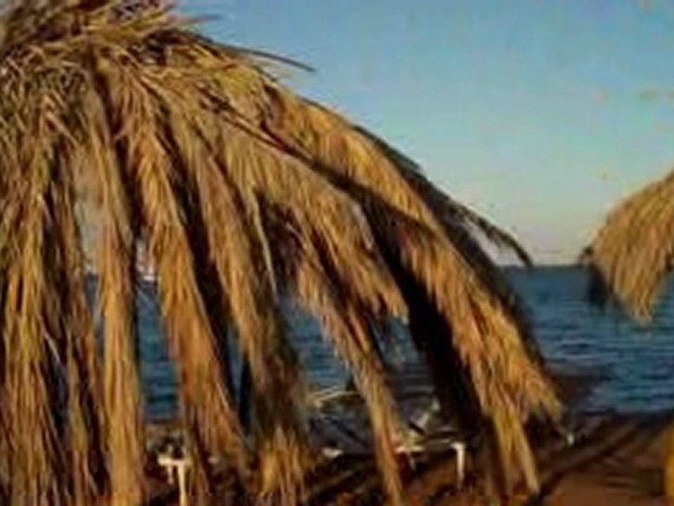 En welk boek leest Toine? Niet de Sedona Methode!