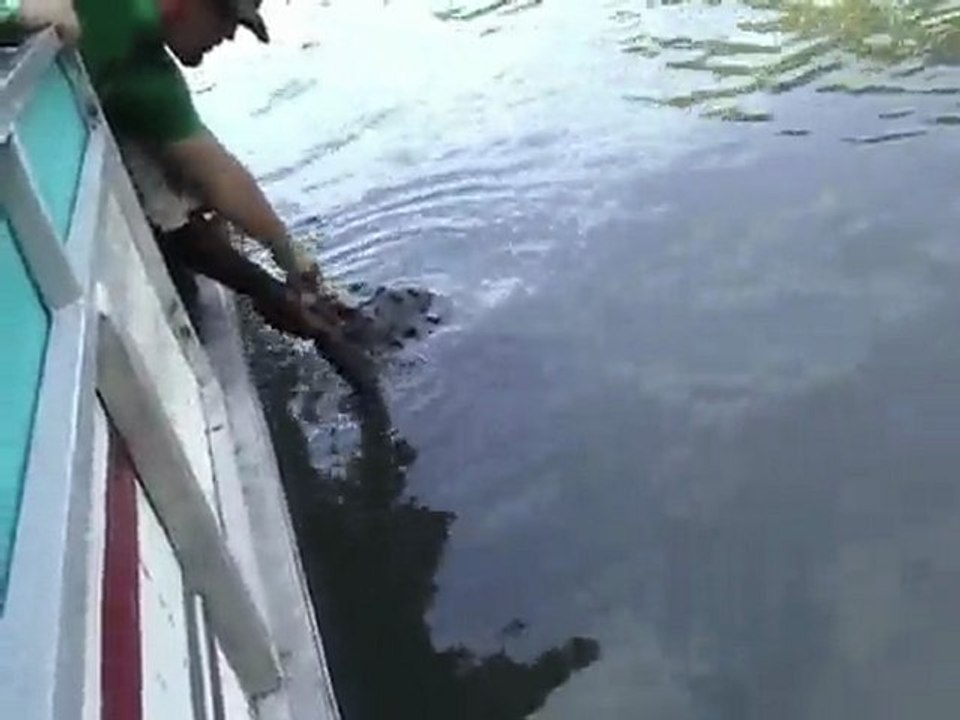 Black River Safari Tour Jamaica