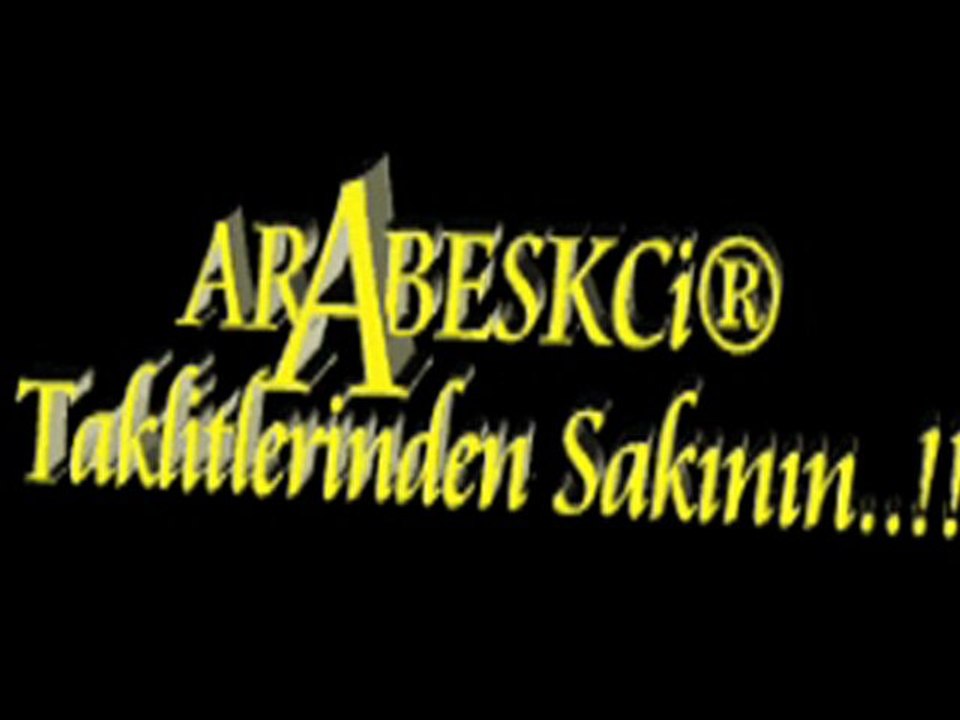 erkan güleryüz-serserinim